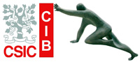 CIB CSIC